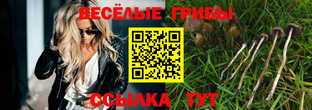 Добрянка  Псилоцибиновые грибы Psilocybine cubensis  Вход с VPN 